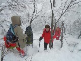 23. na usponu
